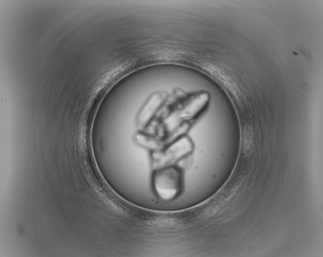 X0000116480581200912090929