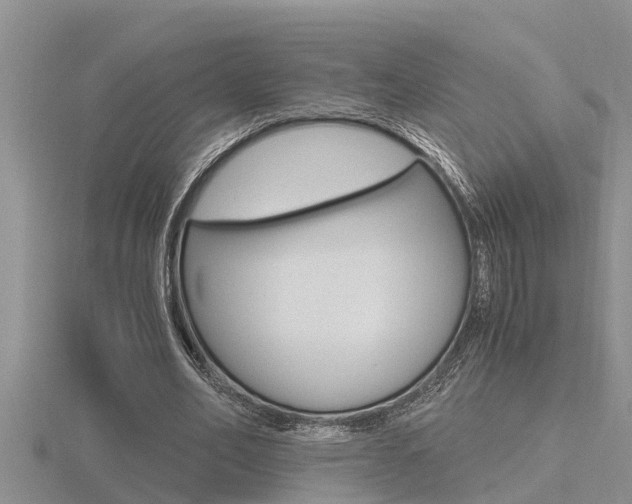 X0000116480582200912090929