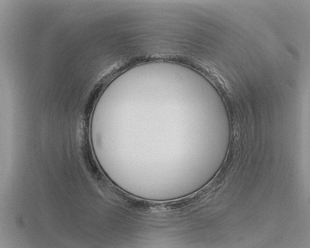 X0000116480591200912090928