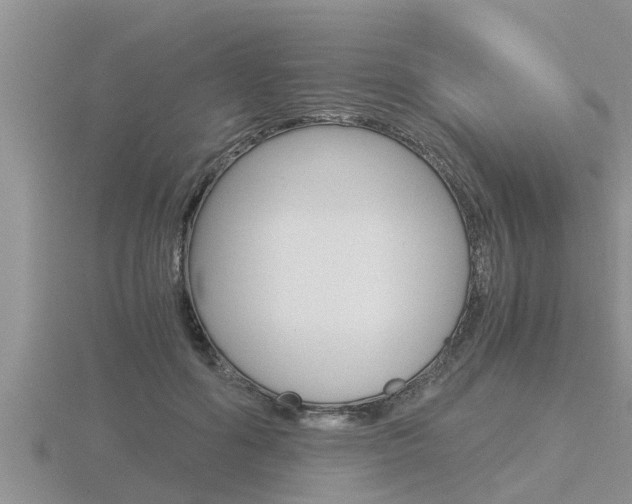 X0000116480602200912090928