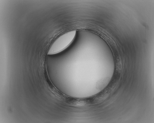 X0000116480604200912090928