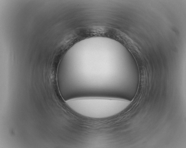 X0000116480608200912090928