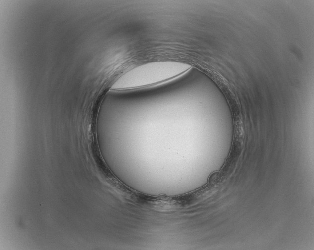 X0000116480615200912090928