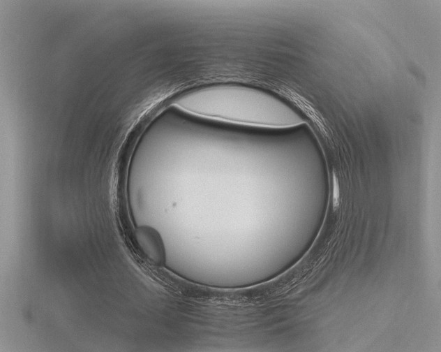 X0000116480627200912090927