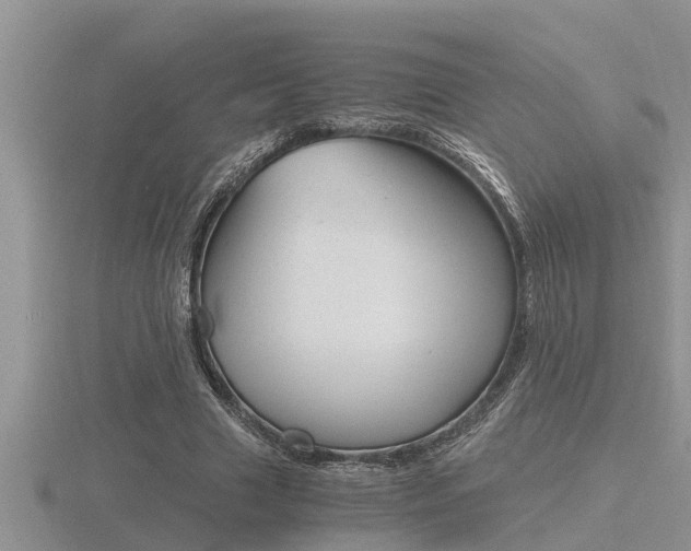 X0000116480633200912090927
