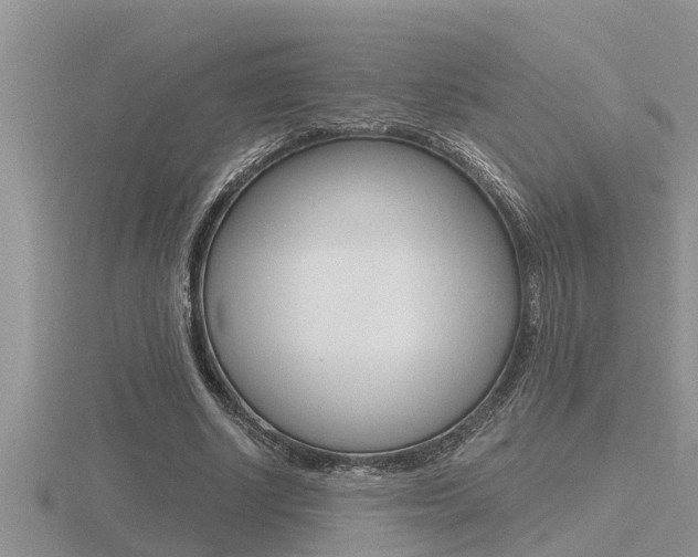 X0000116480634200912090927