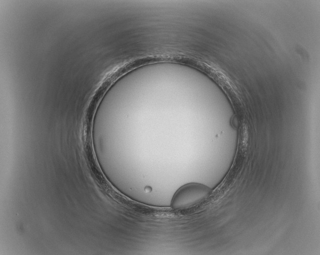 X0000116480636200912090927