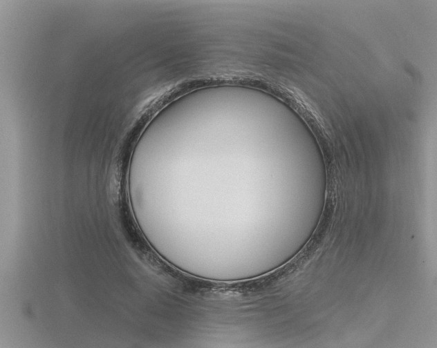 X0000116480640200912090927