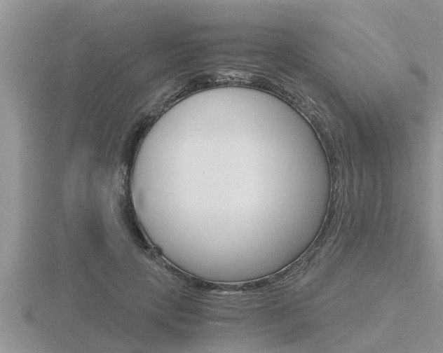 X0000116480649200912090928