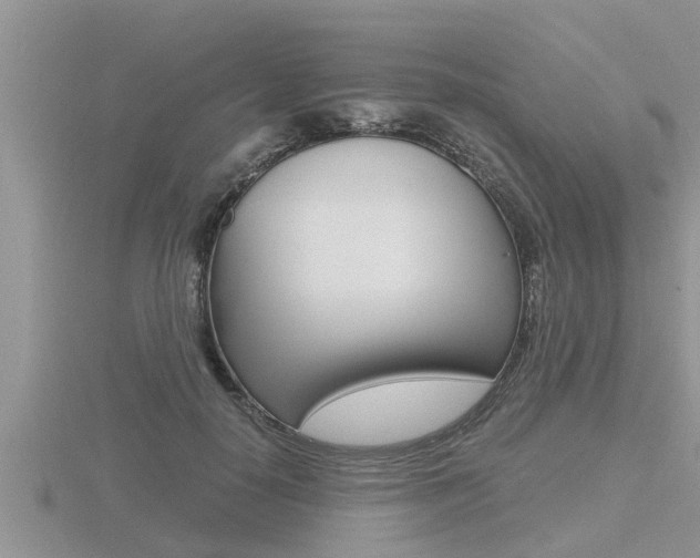 X0000116480650200912090928