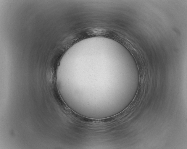 X0000116480651200912090928