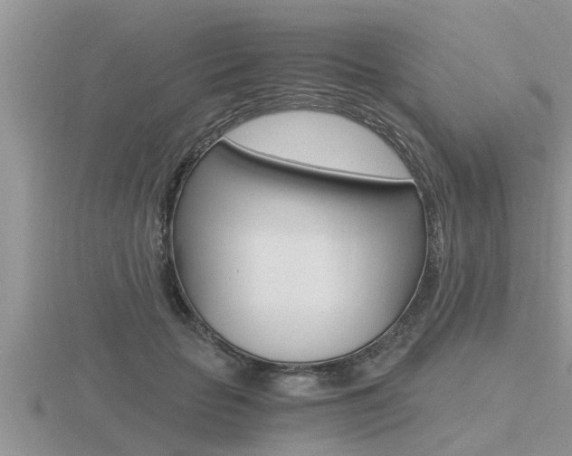 X0000116480653200912090928