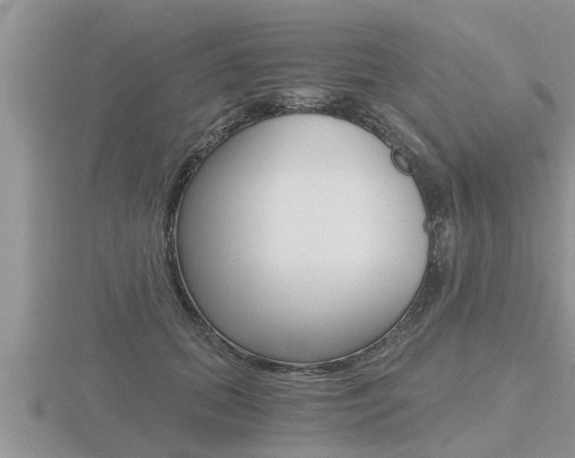 X0000116480655200912090928