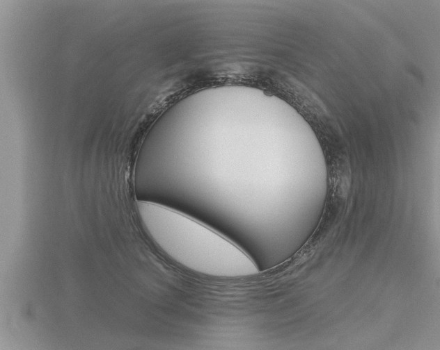 X0000116480660200912090928