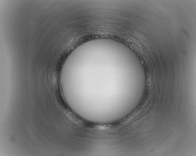 X0000116480662200912090928