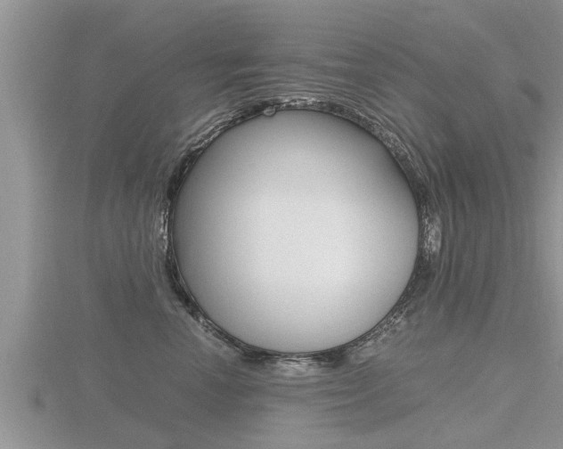 X0000116480666200912090928