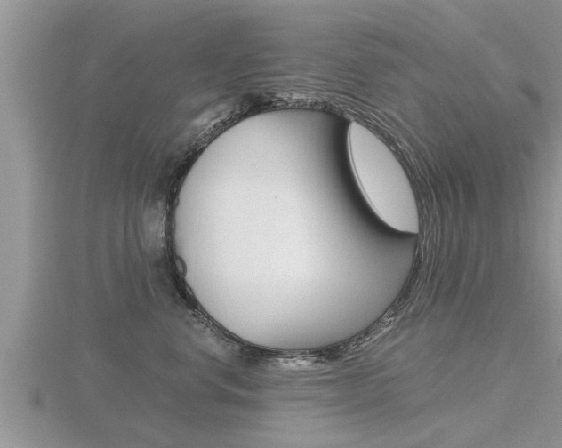 X0000116480668200912090928