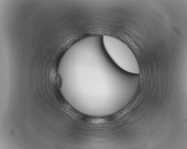 X0000116480669200912090928