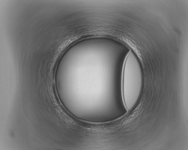 X0000116480673200912090927