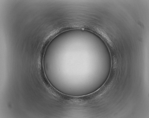 X0000116480681200912090927