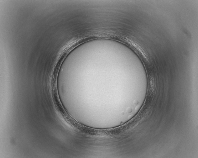 X0000116480682200912090927