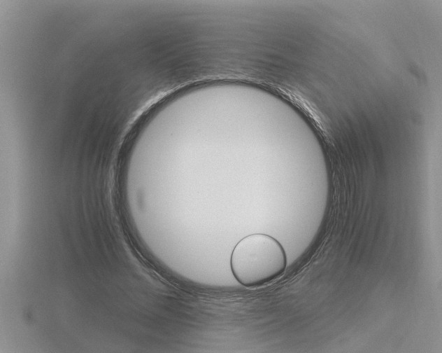 X0000116480684200912090927