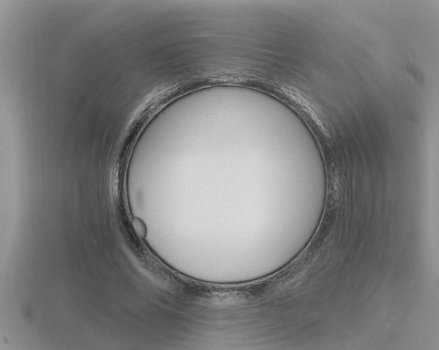 X0000116480686200912090927