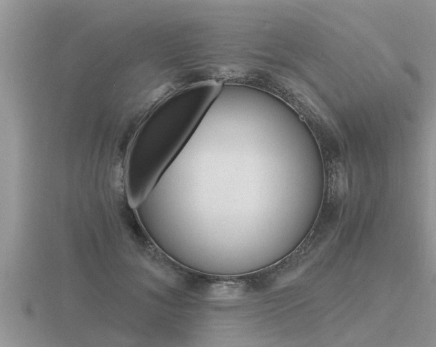 X0000116480700200912090927