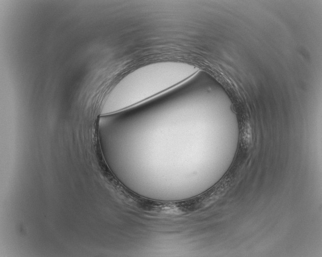 X0000116480715200912090927