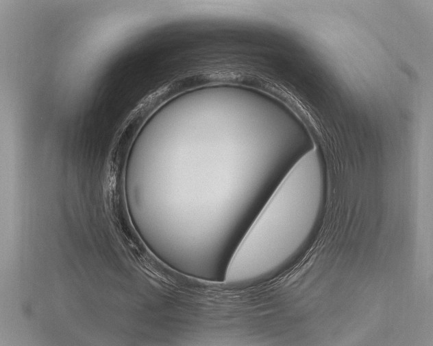 X0000116480723200912090926