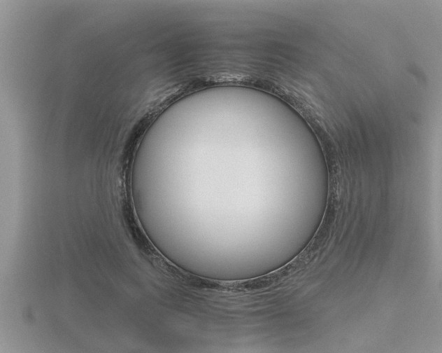 X0000116480743200912090926