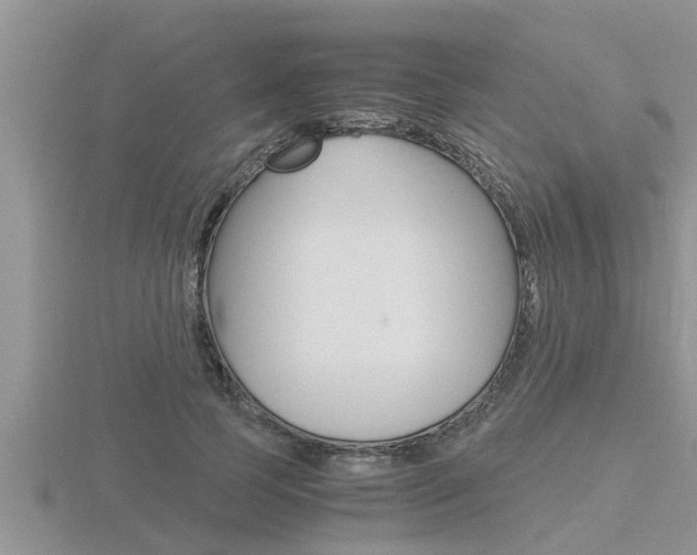 X0000116480745200912090926