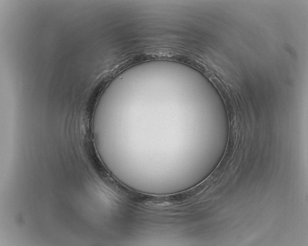 X0000116480747200912090926