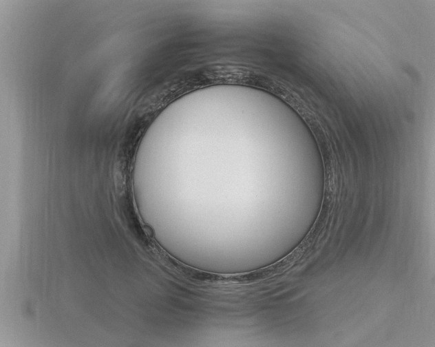X0000116480751200912090926