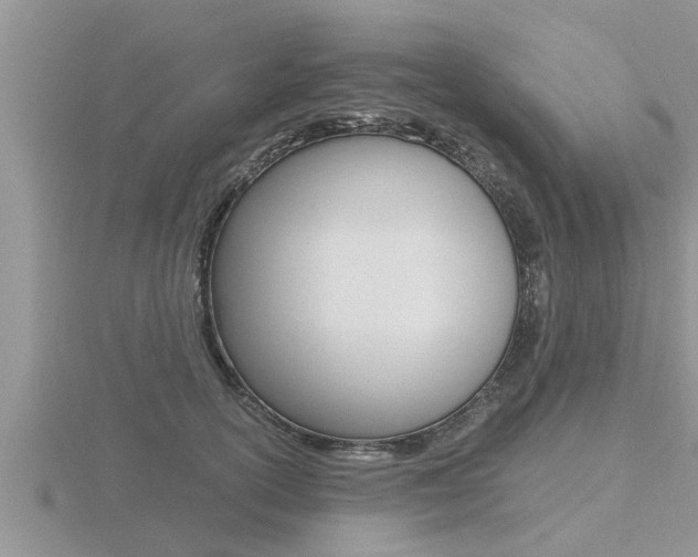 X0000116480754200912090926