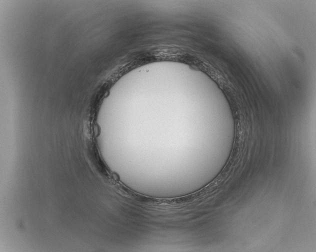 X0000116480755200912090926