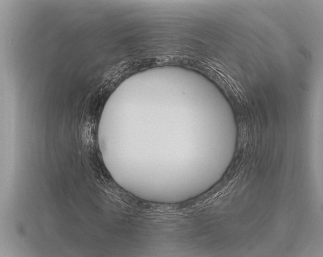 X0000116480770200912090926