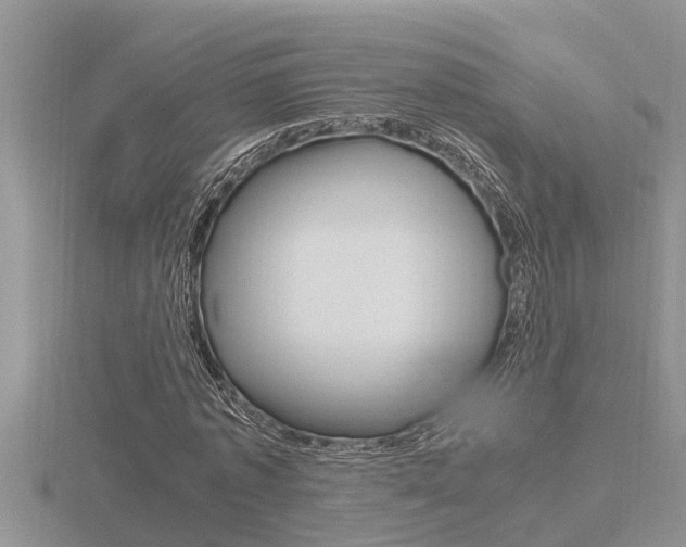 X0000116480773200912090926