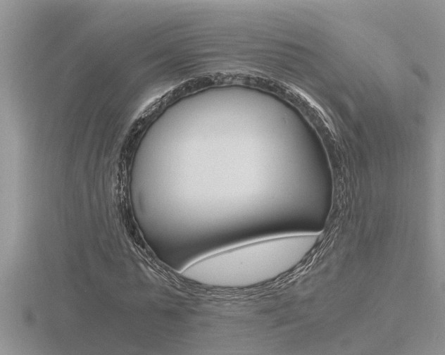 X0000116480775200912090926