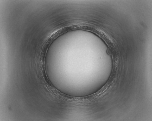 X0000116480822200912090925