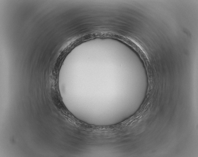 X0000116480823200912090925