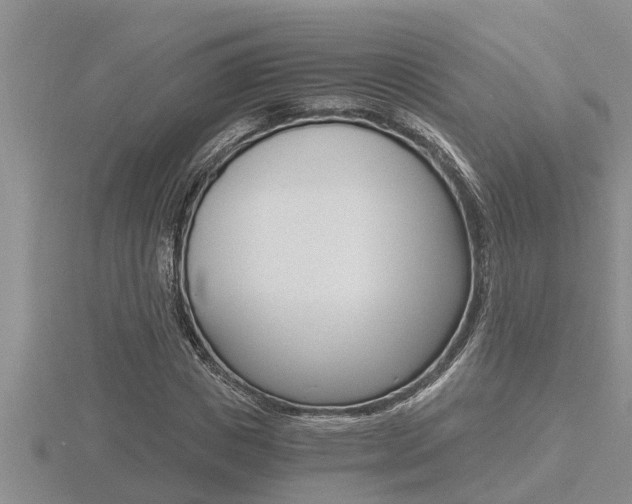 X0000116480825200912090925