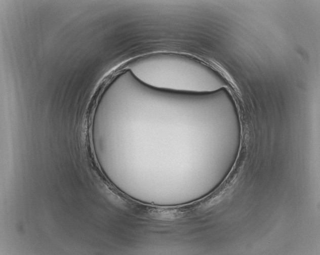 X0000116480831200912090925