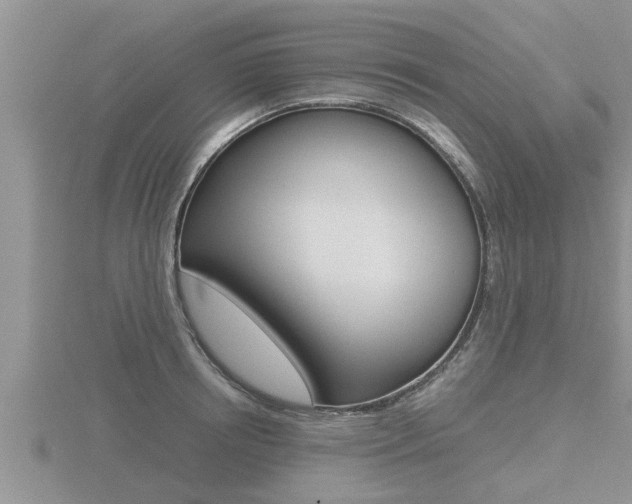 X0000116480850200912090925
