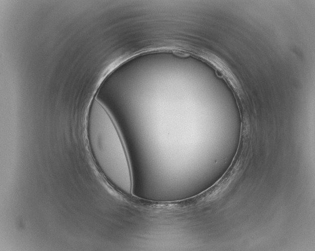 X0000116480858200912090925