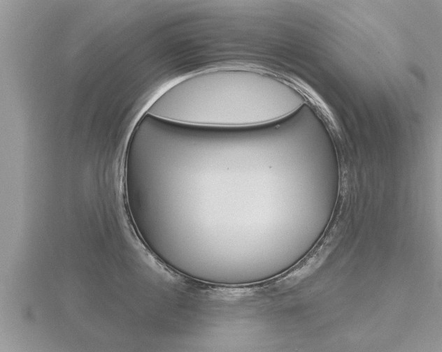 X0000116480860200912090925