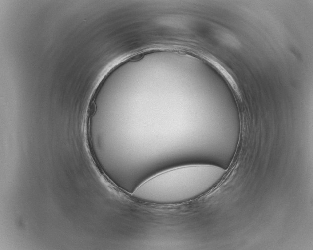 X0000116480861200912090925