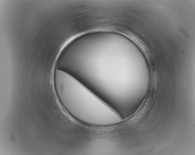 X0000116480862200912090925