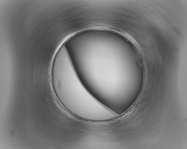 X0000116480864200912090925