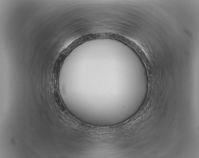 X0000116480871200912090925